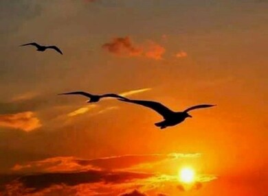 SUNRISE