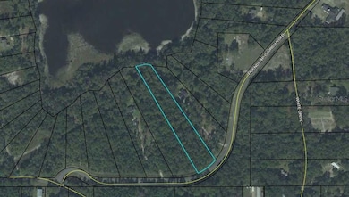 78 Friendship Church Rd, Crawfordville, FL 32327 - photo 2