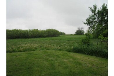 Yard/Garden.