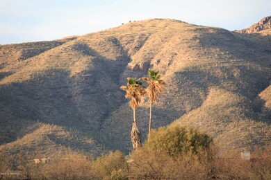 Mountain Views from the Front ( Photo by