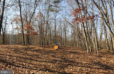 3481 Green Spring Rd, Winchester, VA 22603 - photo 6