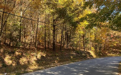Additional View