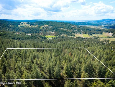 DJI_20250604140105_0037_D
