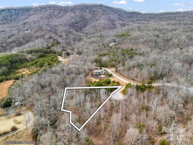 146 Wee Burn Cove, Mill Spring, NC 28756 - photo 4