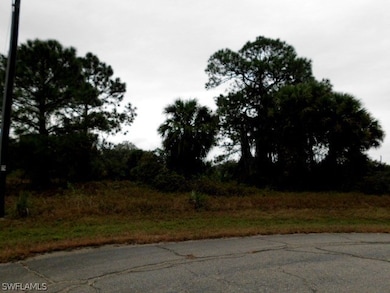 0 W Leader Ct unit 216005720, Labelle, FL 33935 - photo 5