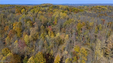 9204 Sandyville Rd NE, Mineral City, OH 44656 - photo 6