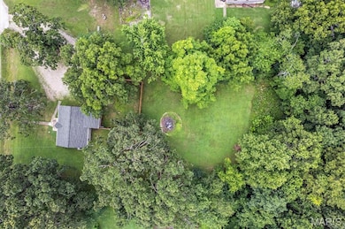 3251 Highway 221, Doe Run, MO 63637 - photo 6