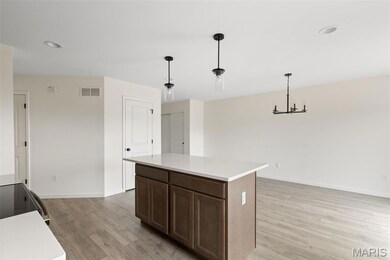 510 Founders Way, Foristell, MO 63348 - photo 6