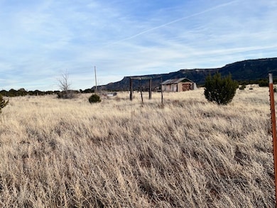 12 Metzger Dr, San Jose, NM 87565 - photo 5
