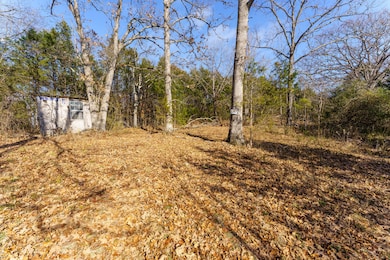 000 Boulder Dr, Williams Township, MO 65681 - photo 7