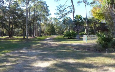 TBD 3rd Ave NW, Steinhatchee, FL 32359 - photo 3