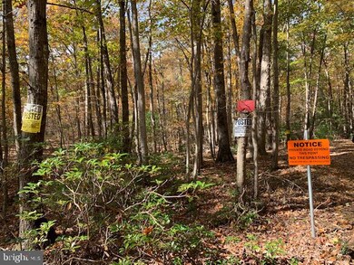 0 Barb unit VASH120806, Basye, VA 22844 - photo 7