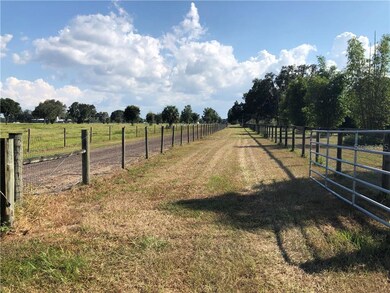 Easement