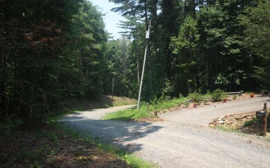 Additional View