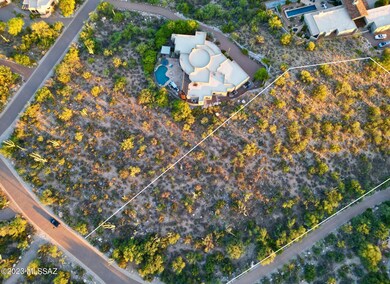 Canyon Spring Lot lines 2