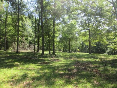 0 Swift Bend unit 143470, Georgetown, GA 39854 - photo 2