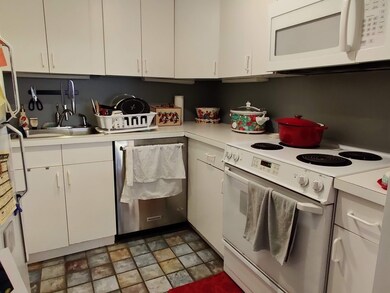 17 Healey St unit 201, Cambridge, MA 02138 - photo 7