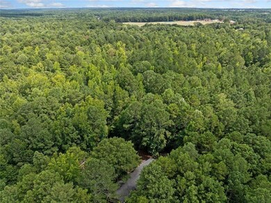 4321 Georgia 186, Good Hope, GA 30641 - photo 2