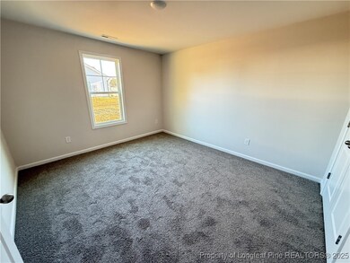 194 Dalton Dr, Lumber Bridge, NC 28357 - photo 6