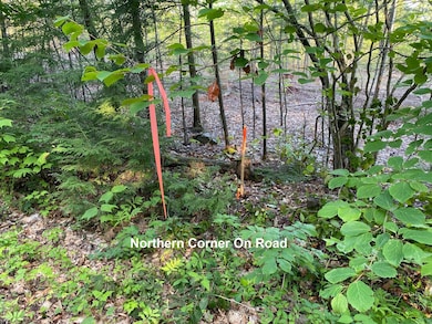 00 Great Falls Rd, Gorham, ME 04038 - photo 5