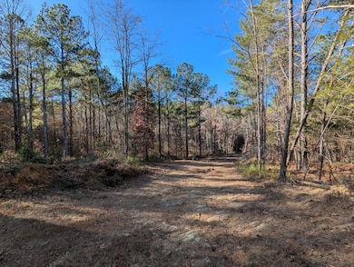 169 Volunteer Ln, Old Fort, TN 37362 - photo 2