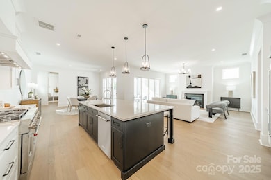 19032 Newburg Hill Rd unit 23, Davidson, NC 28036 - photo 7