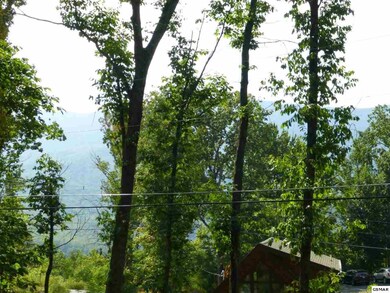 Additional View 4