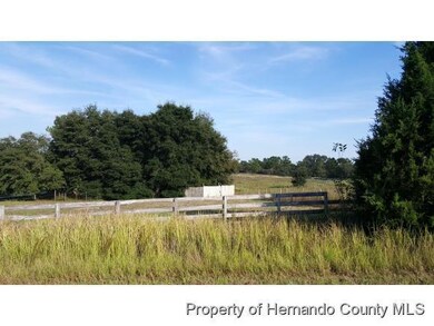 11216 Eskimo Curlew Rd, Weeki Wachee, FL 34614 - photo 6