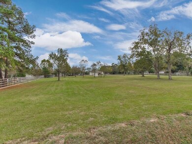 21304 Rosehill Church Rd, Tomball, TX 77377 - photo 3