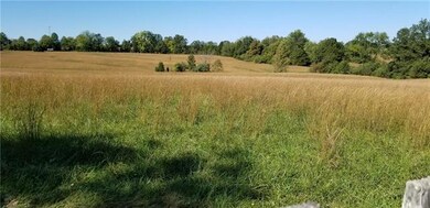 View of the gorgeous land looking West from the ho