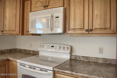 121 Limerick Ln, Selinsgrove, PA 17870 - photo 6