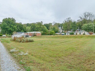 733 Maple extra lot 2