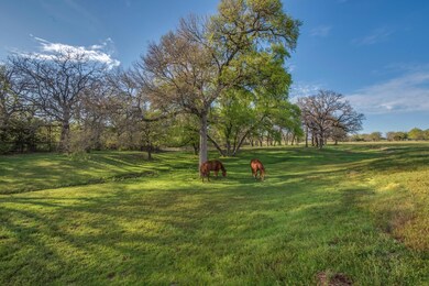 incredible grass, no cactus and plenty of shade fo