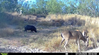 0 Cameron Ln, Fowlerton, TX 78021 - photo 3