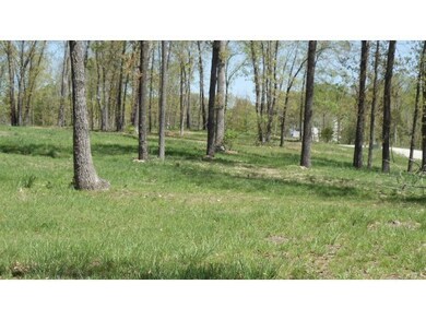 Tbd Diamond View, Kimberling City, MO 65686 - photo 6