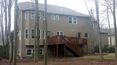 Back View