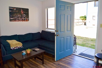 343 E 8th Ave unit 4, Durango, CO 81301 - photo 5
