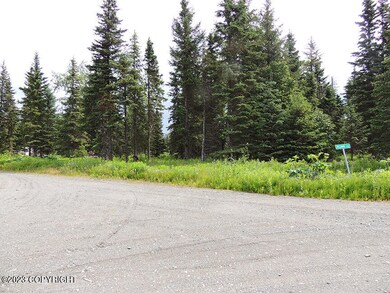 L7 B4 Plumb Ln, Happy Valley, AK 99556 - photo 4