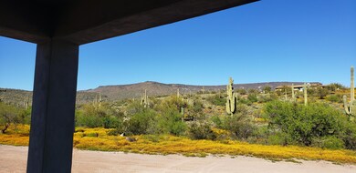 Amazing Desert Views