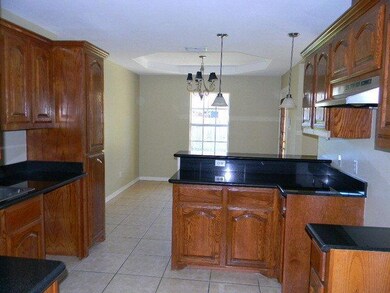 1730 Chayna Ave, Edinburg, TX 78539 - photo 6