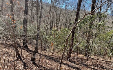 Lot 9 Wolfpen Gap, Hiawassee, GA 30546 - photo 4