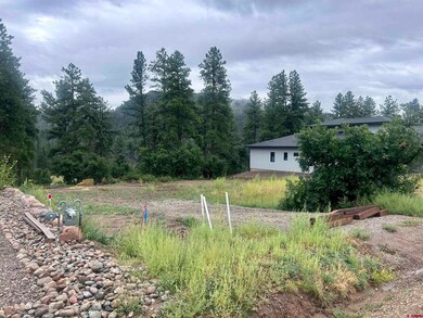 470 Edgemont Meadows Rd, Durango, CO 81301 - photo 3
