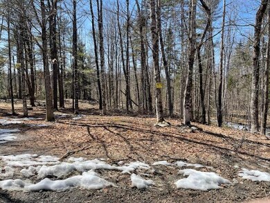 139 McNaughton Hill Rd, Sangerville, ME 04479 - photo 4