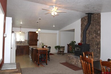 295 NW 10th St, Cedaredge, CO 81413 - photo 4