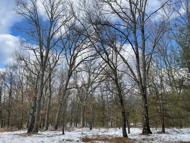 0 10 + - Acres Beaver Rd unit 22007967, Bitely, MI 49309 - photo 4
