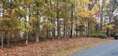 361 Hidden Creek Rd unit 22, Nellysford, VA 22958 - photo 4