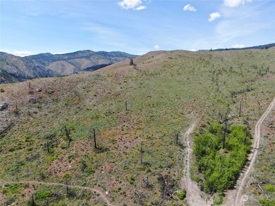 436 Antoine Creek Rd unit Lot E, Chelan, WA 98816 - photo 6