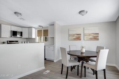 320 E McKellips Rd-62