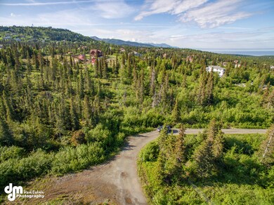 000 Hideaway Trail, Anchorage, AK 99507