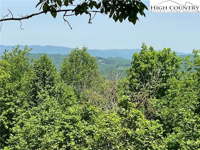 TBD (Lot 13) W Mahogany Ct, Lansing, NC 28643 - photo 3